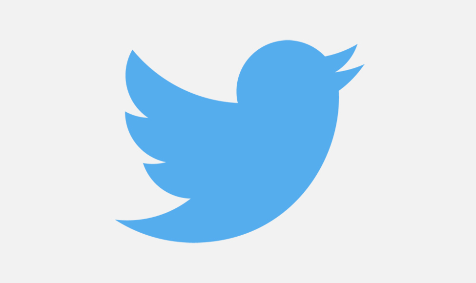 Main twitter logo
