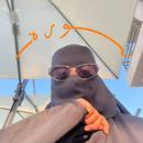 Medium photo 2026 01 04 16 55 41